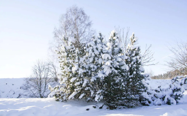 Apartment, Braunlage