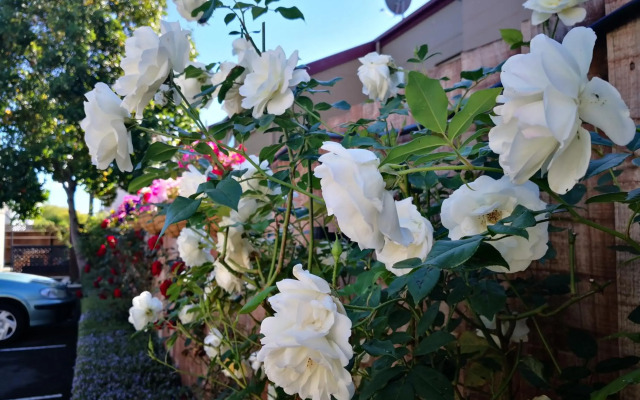 Annabelle Court Motel