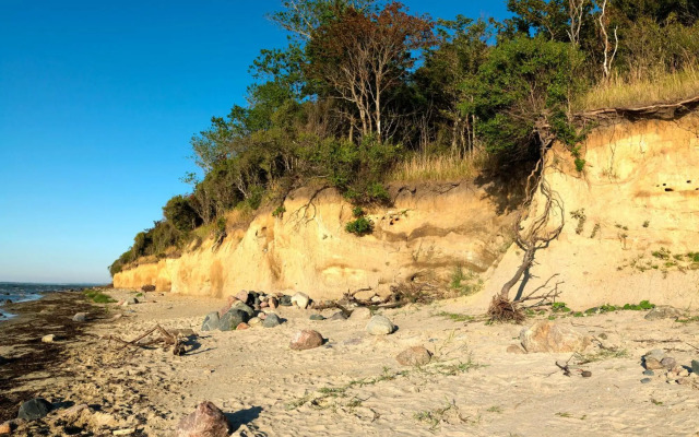 Ostsee Residenz Meeresblick Strandläufer