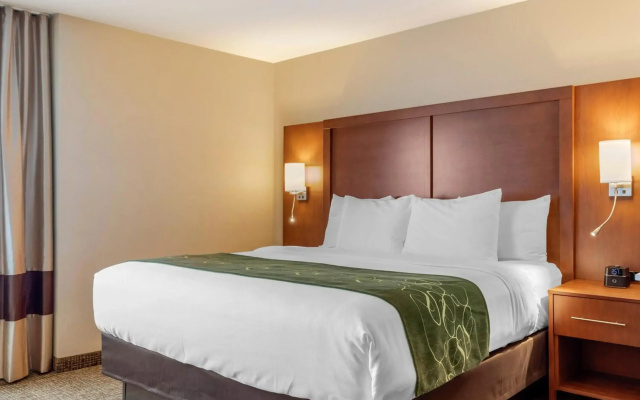 Comfort Inn & Suites Schenectady - Scotia