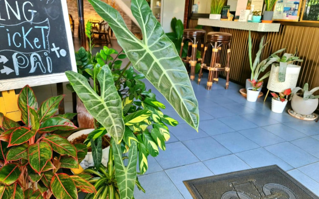 Bed and Terrace Guesthouse Chiang Mai