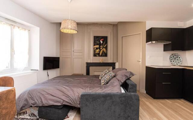 Jungle - T2 Centre Historique