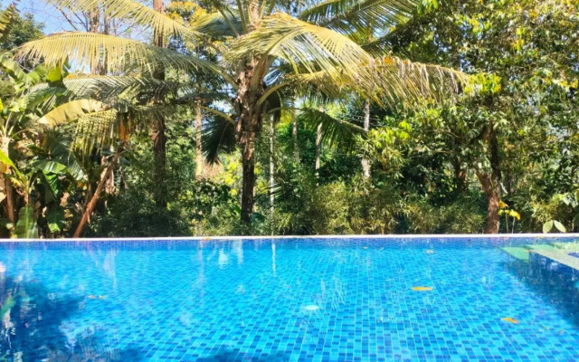 Young Island - Coorg