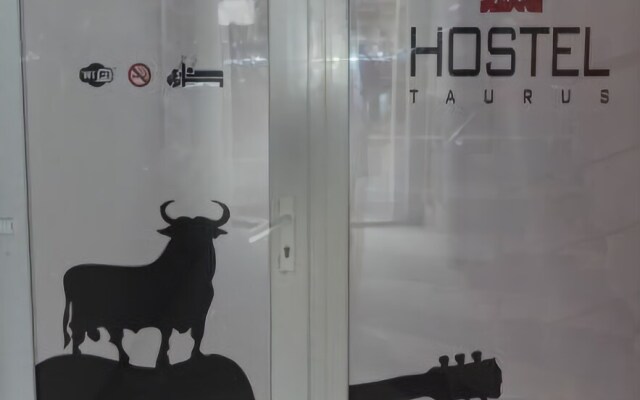 Art-Hostel Taurus