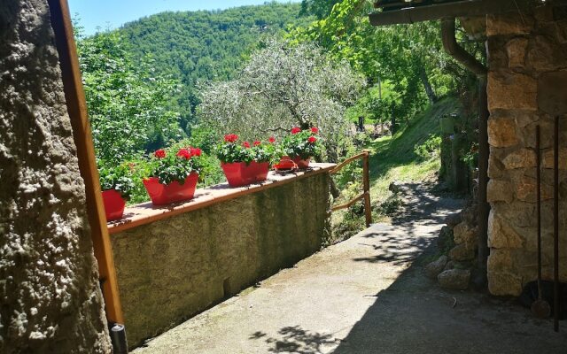 Holiday Apartment Ulivella Tuscany Garfagnana