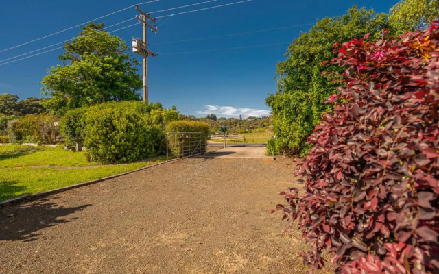 Cooks Beach Cutie - Cooks Beach Holiday Home