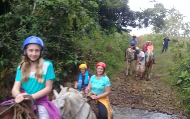 Wonderful View Cabins