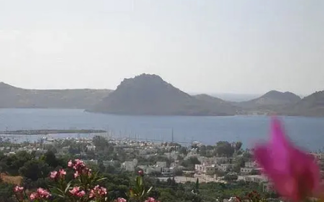 Lavanta Hotel