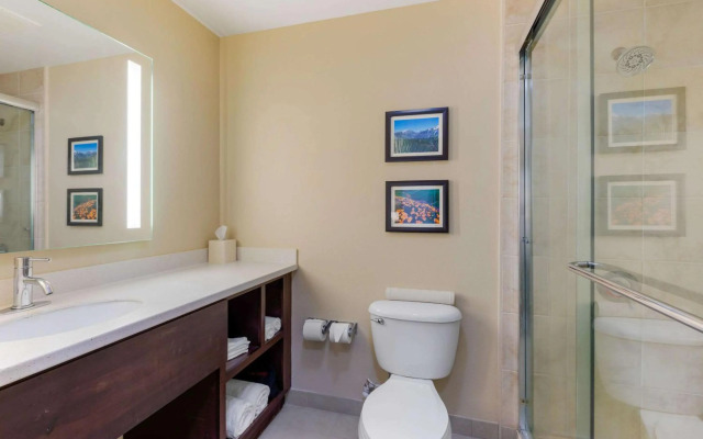 Comfort Inn & Suites near Ontario Airport