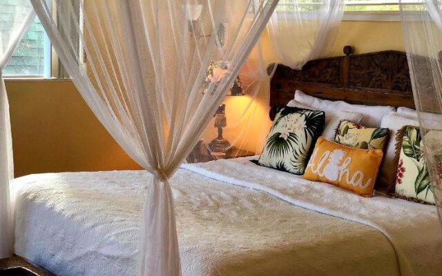 Old Lahaina House
