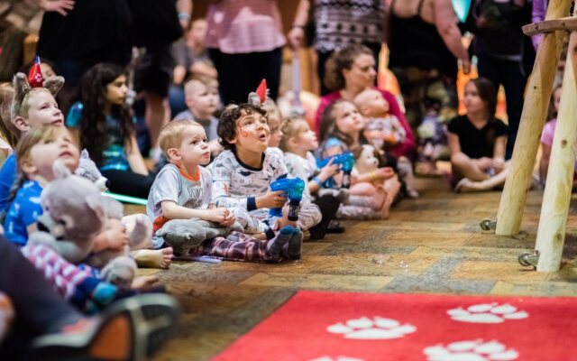 Great Wolf Lodge Traverse City