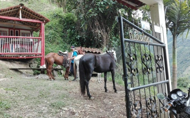 Ecohostal Villa Hidalgo