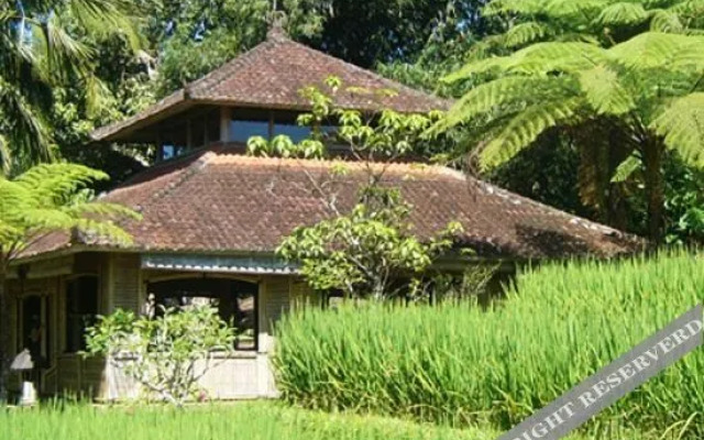 Prana Dewi Mountain Resort