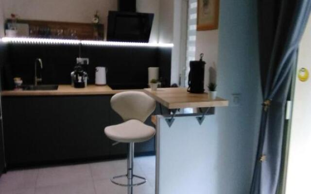 NICE- GAIRAUT - JARDIN PRIVE- GRAND F1 LUMINEUX-Piscine Collective