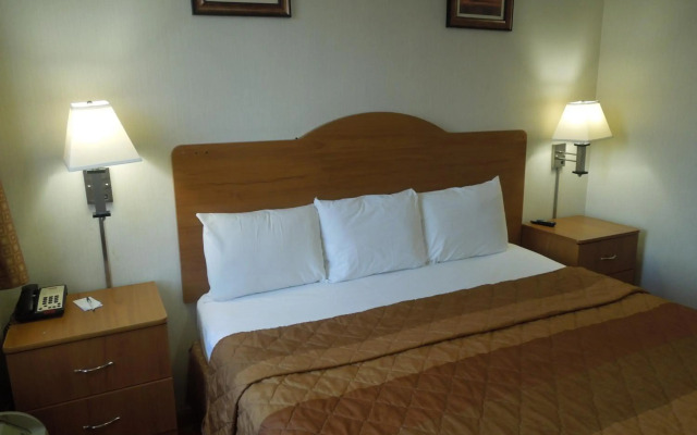 The Vue Hotel Express