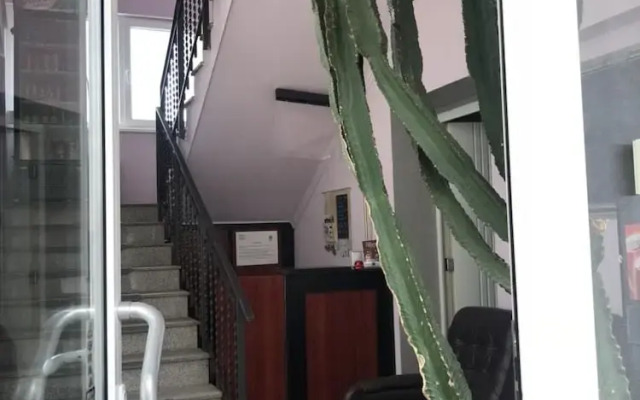 Hostel Herz