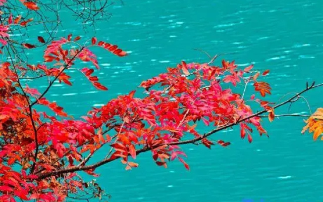 Pufeng • Lishe Resort Villa (Aba Prefecture Jiuzhaigou)