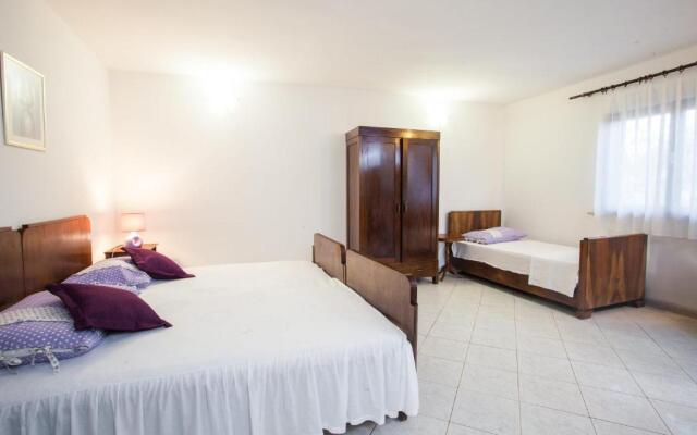 Apartments Dalmatinska Kuća