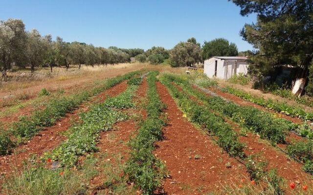 Agriturismo Salento Pietralata