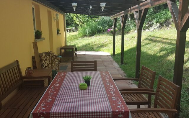 Cozy Holiday Home in Sachspfeife with Sun Terrace