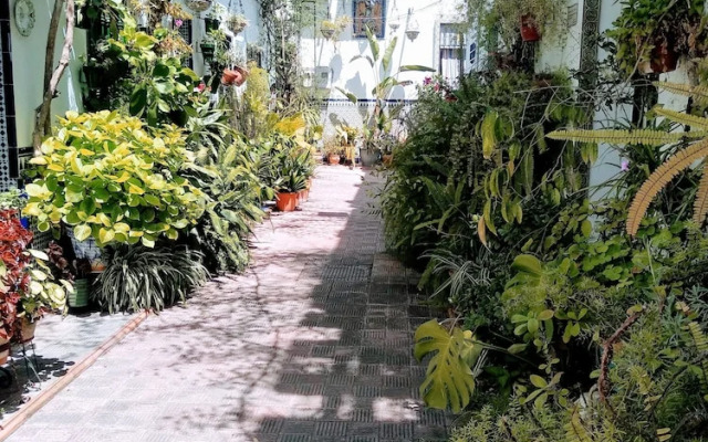 Wish Suite Patio de la Flores