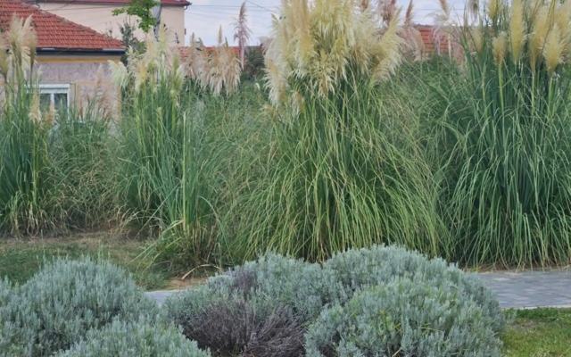 Iosia Premium Apartment