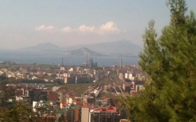 Bed and Breakst Splendid