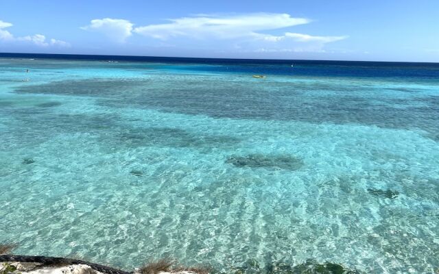Ocean Front Villa in Aruba - Stunning Full House