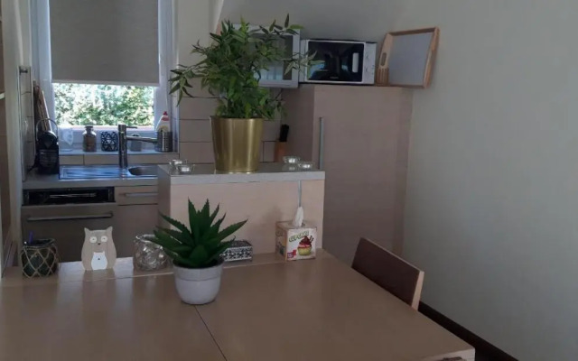 Tihany (Balaton) Best View Spacious Wellness Central 50M Beach