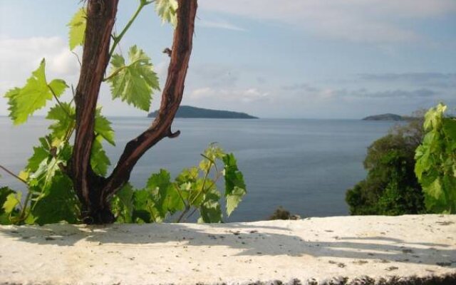 Villa Orsa
