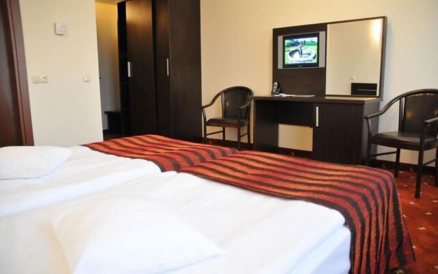 Carpathian Hotel Sibiu