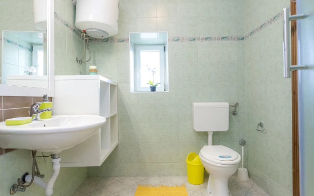 Apartments in City Center Ventus