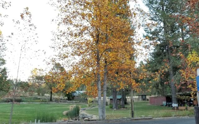 The Davies Family Inn