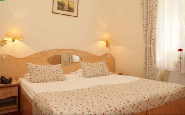 Hotel Ferdinand Baile Herculane