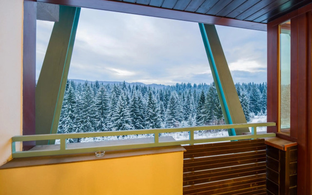 Loft Apartment Silver Mountain