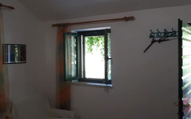 Holiday house Lidija - Robinson House: Cove Lovrecina (Postira), Island Brac
