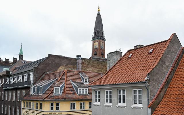 Cozy One-bedroom Apartment in Copenhagen Downtown