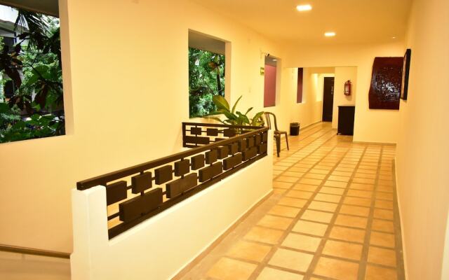 Maya Tulipanes Express