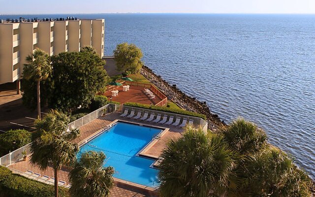 Tampa Waterfront 39600