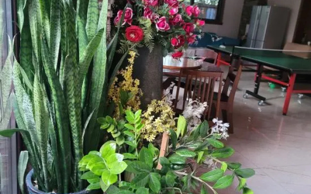 Rainforest Daixiang hot spring Inn