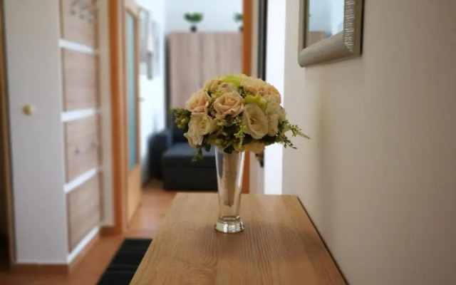 Vörösmarty Apartman Miskolc - Belváros - downtown