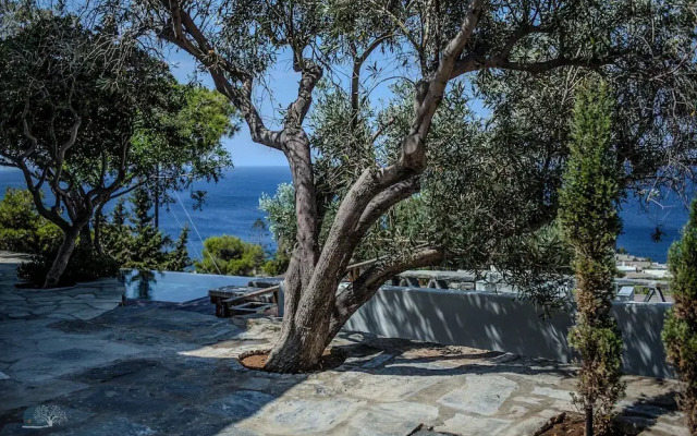 Zen Blue Suites Luxury and Nature in Kea