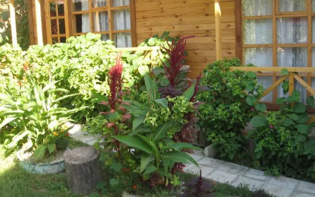 Три Медведя