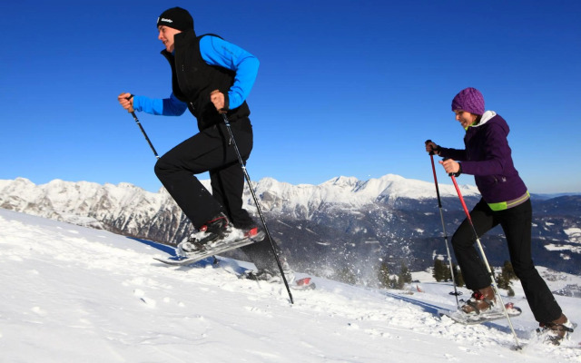 Sonnenchalet 2 im Salzburger Lungau