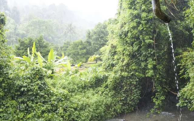 Tree Top River Huts
