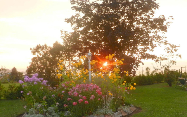 Gîte La P'tite Falaise