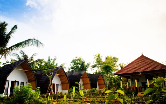 Penida Sunset Ocean View Bungalows