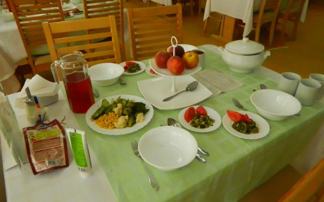 Lesnaya Nov Sanatorium