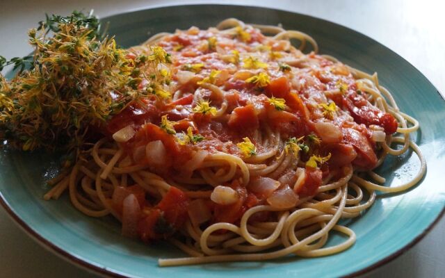 B&B Il Sentiero nel Bosco