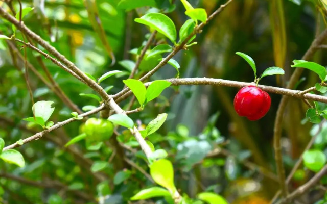 Casa Espetacular no Centro da Serra